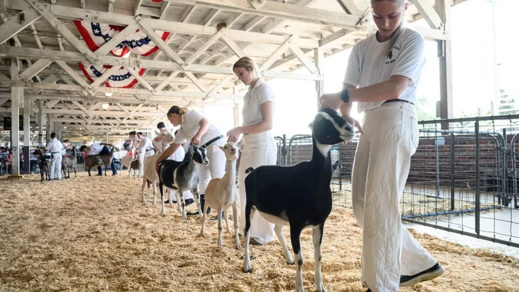 North Carolina warns after rabid petting zoo goats test positive