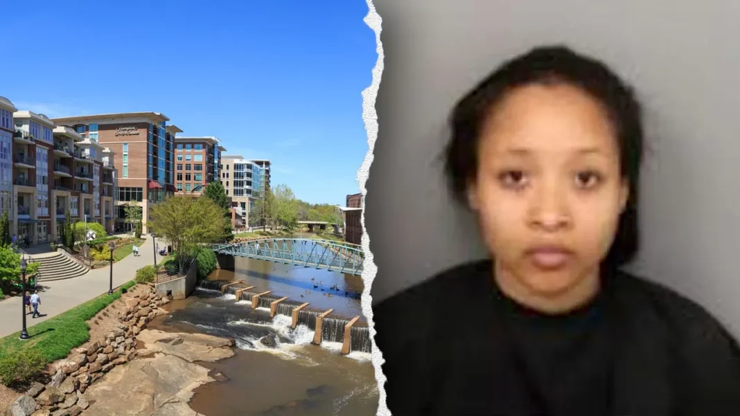 Lyft driver stabbing suspect denied bond amid mental health crisis