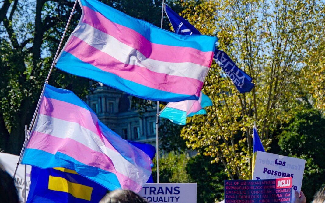 Trump Urges Supreme Court to Review Military Trans Ban