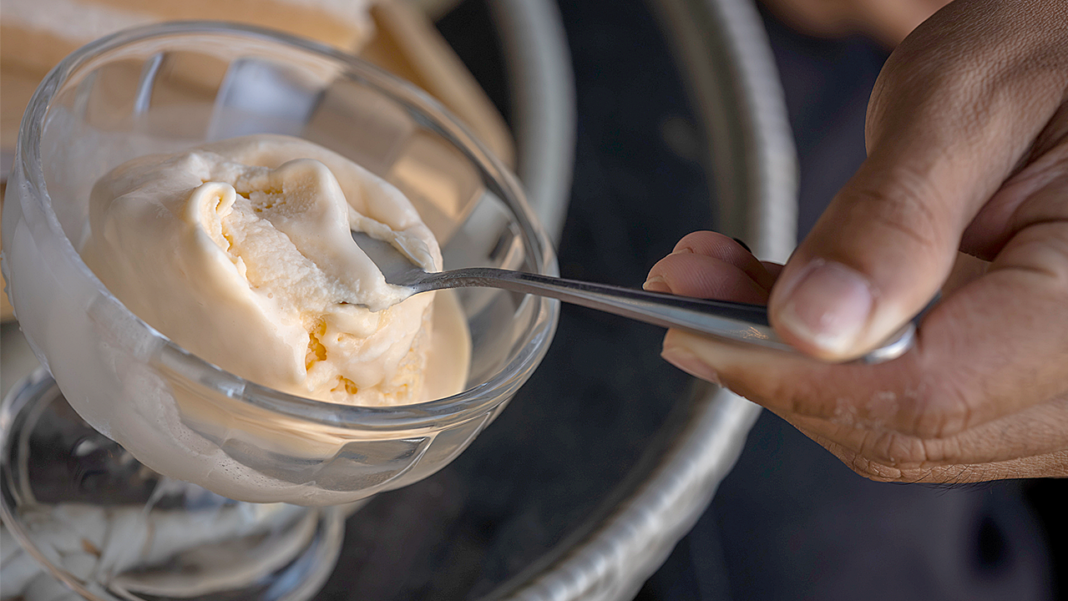 So Delicious Non-Dairy Dessert Recall: Stones Detected