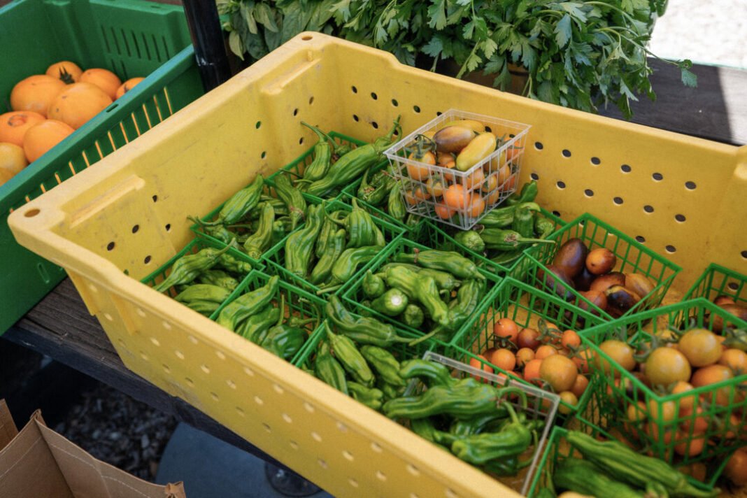 Farm Charm Travel Trend: Immersive Stays on Working Farms