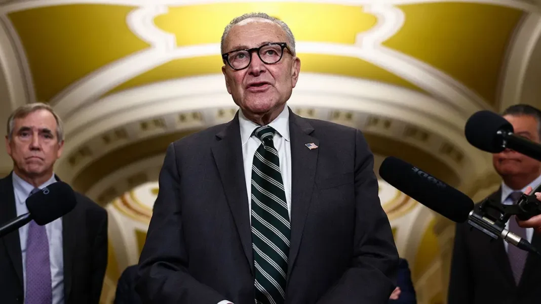 Schumer Claims Democrats Hold Midterm Edge Despite Polls, Funding Gap