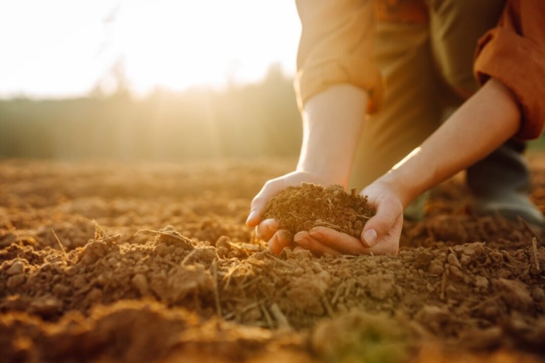 What Lessons from Wendell Berry Shape Our Future